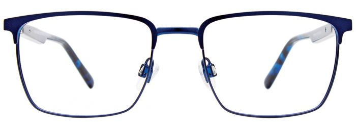 Blue/Blue Tortoise