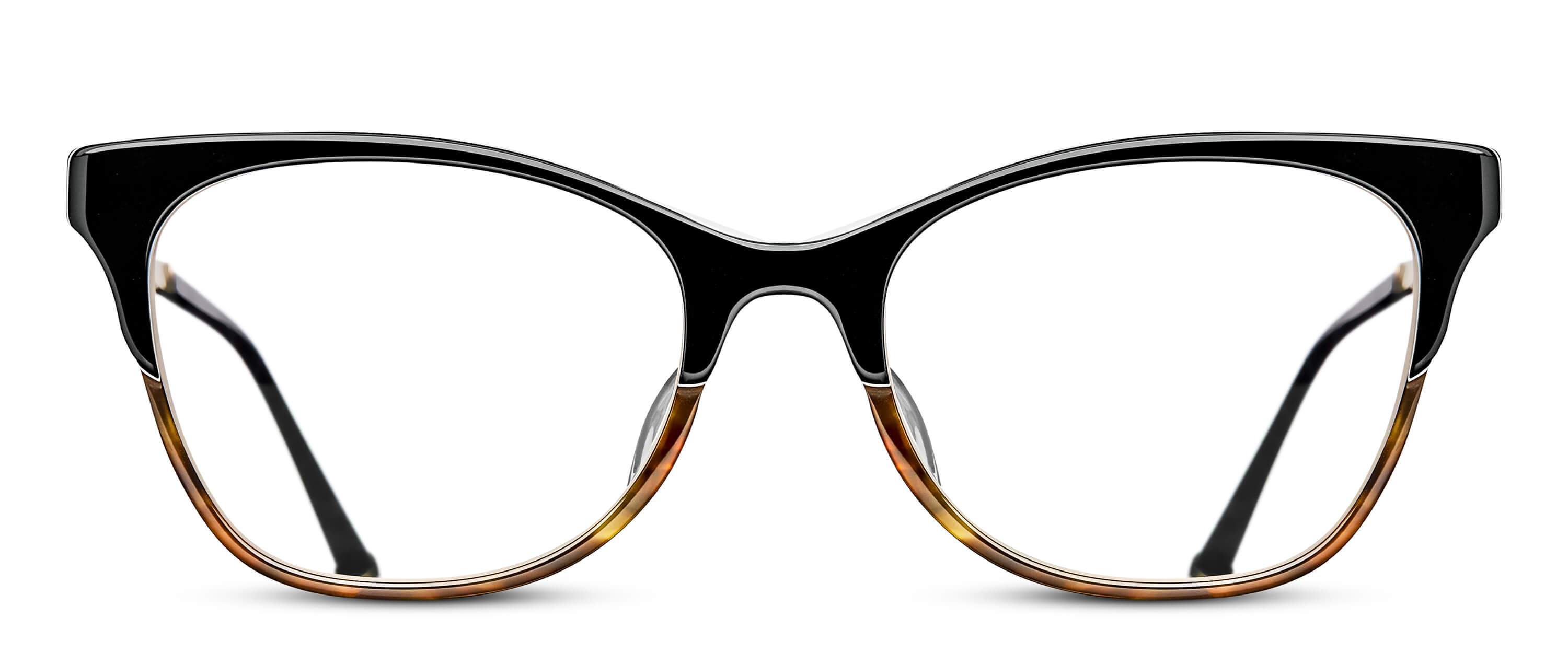 Black Tortoise / Brushed Gold