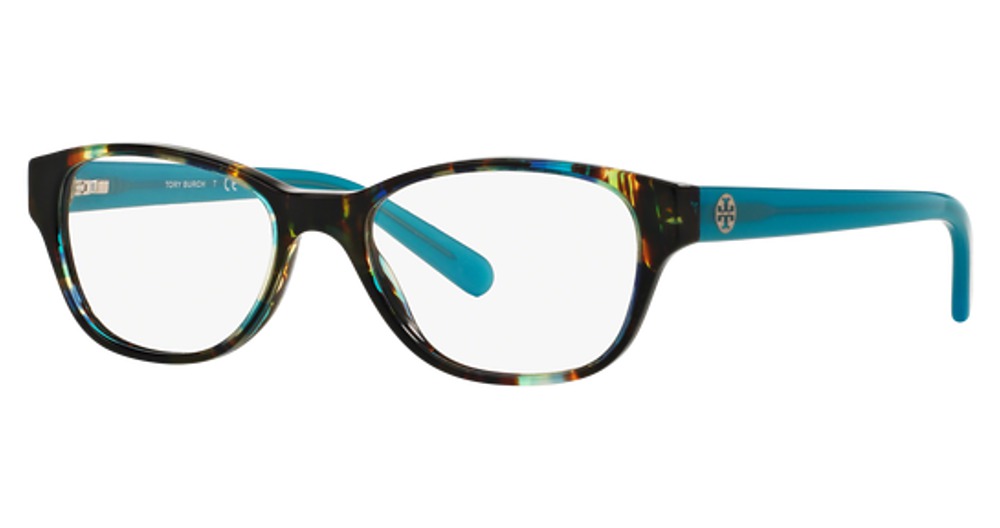 BLUE BROWN TORTOISE