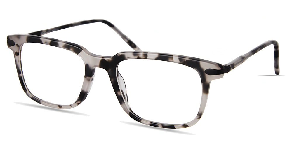 GREY TORTOISE