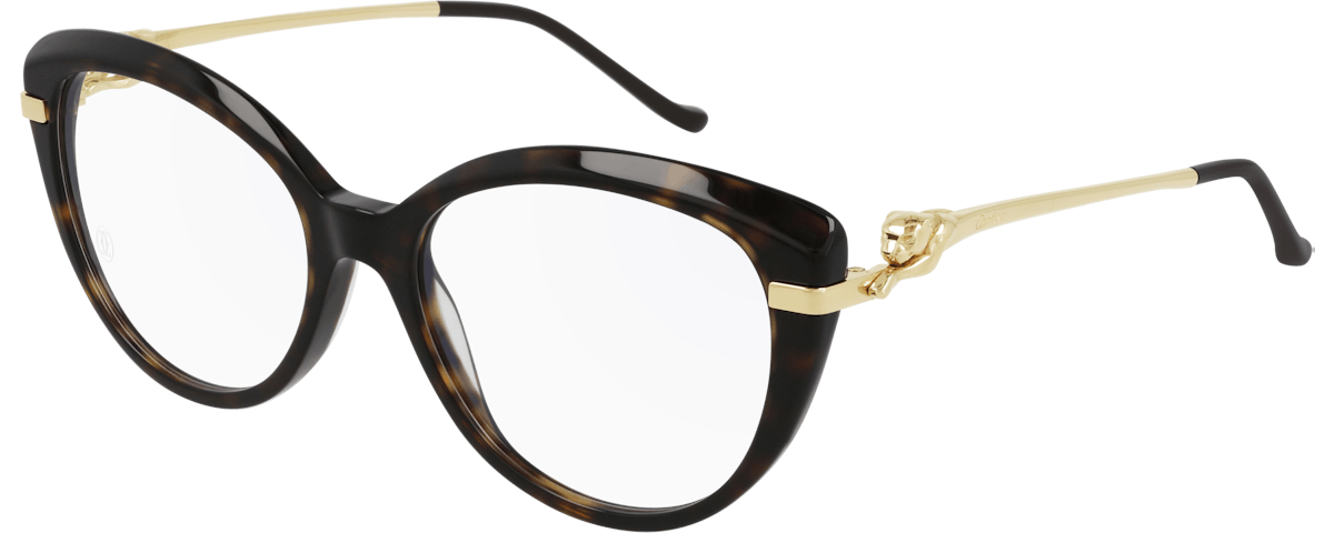 HAVANA / GOLD