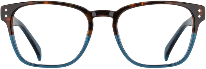 Tortoise / Blue
