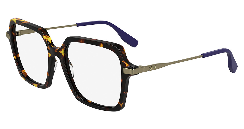 TOKYO TORTOISE