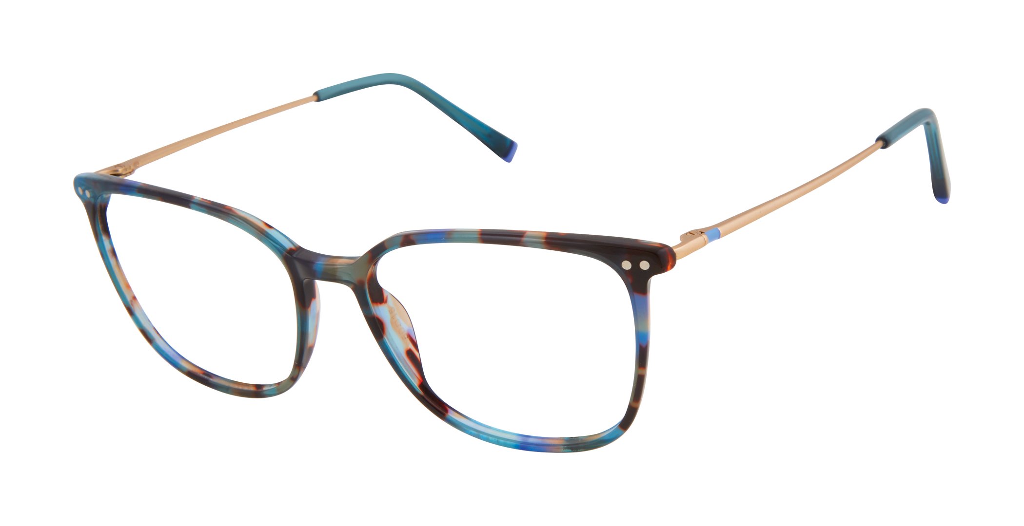 TEAL TORTOISE