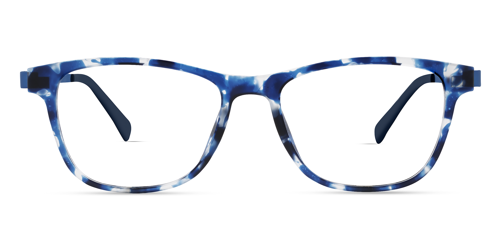 Blue Tortoise