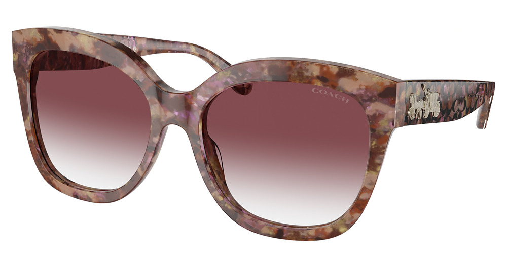 PETAL TORTOISE / PURPLE CLEAR GRADIENT