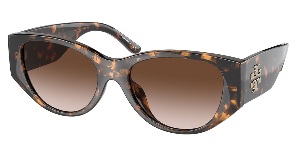 DARK TORTOISE / BROWN GRADIENT