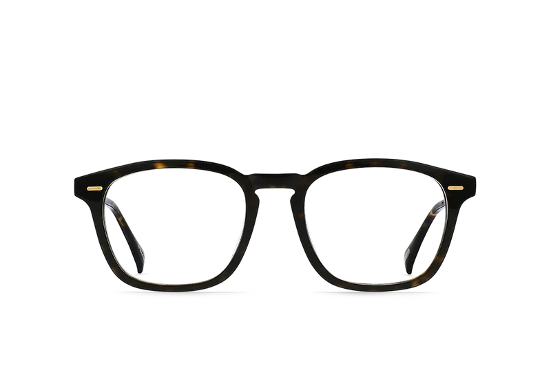 Agave Tortoise / Clear