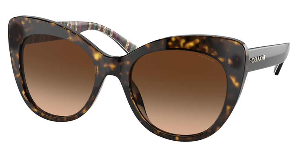 DARK TORTOISE / BROWN GRADIENT