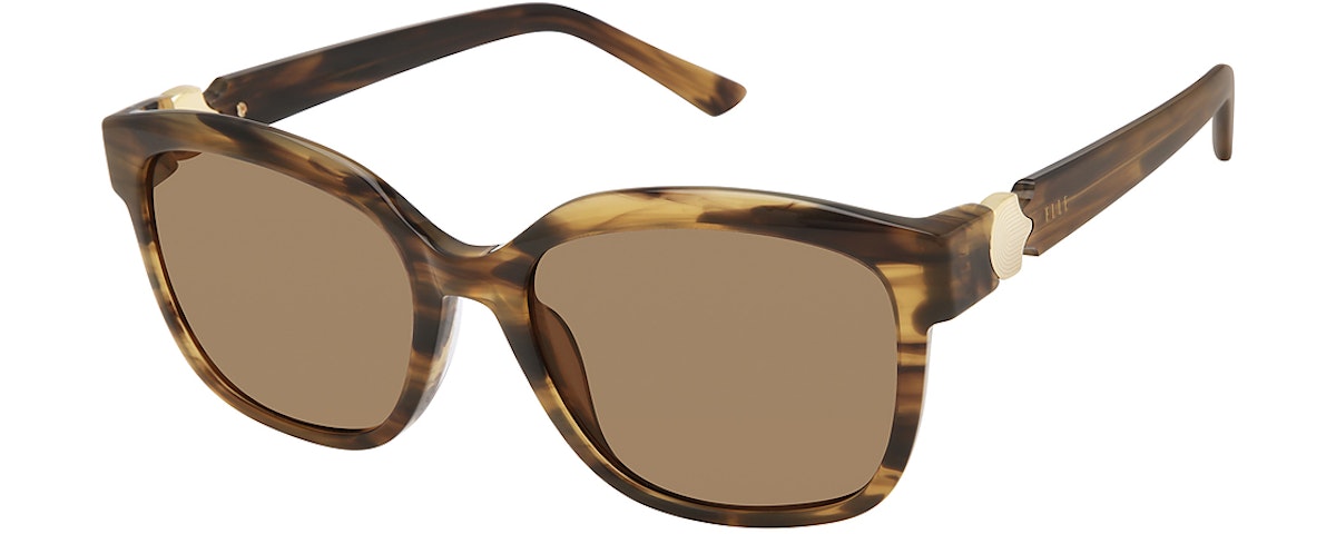 Brown / Brown Solid
