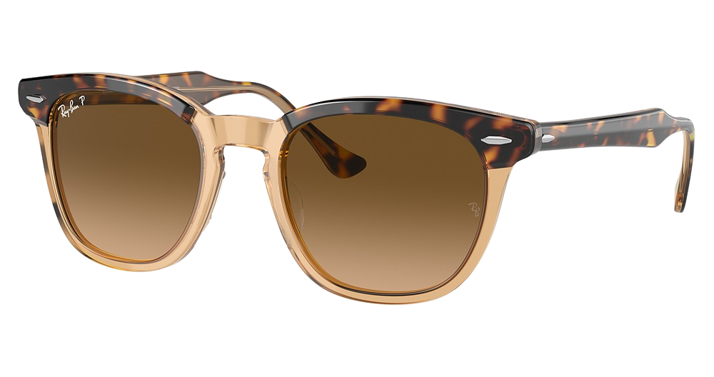 Ray-Ban RB2298F HAWKEYE round sunglasses in Havana on Transparent Brown