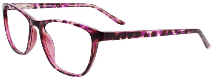 Purple Tortoise