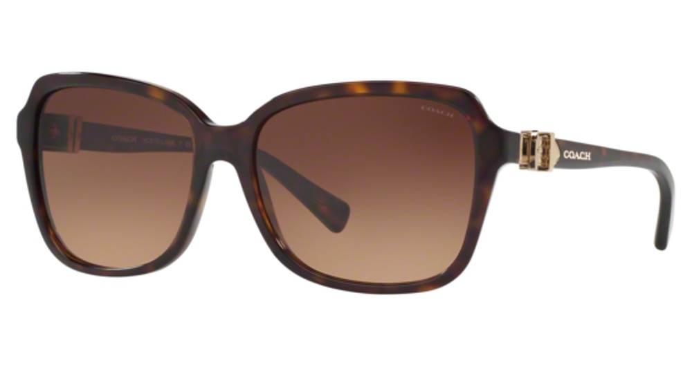 DARK TORTOISE / BROWN GRADIENT