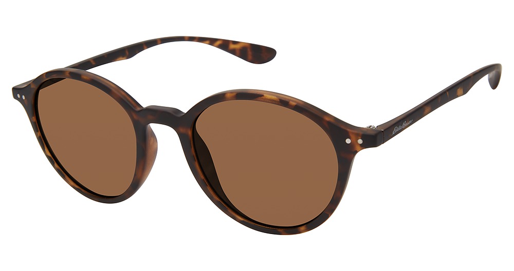 Tortoise / Brown Polarized