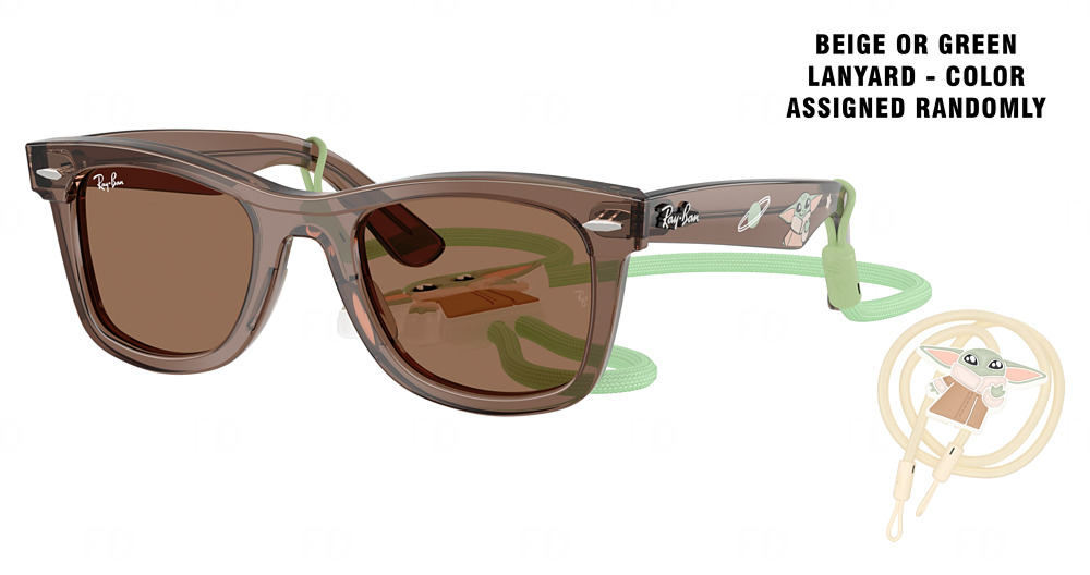 TRANSPARENT BROWN / DARK BROWN