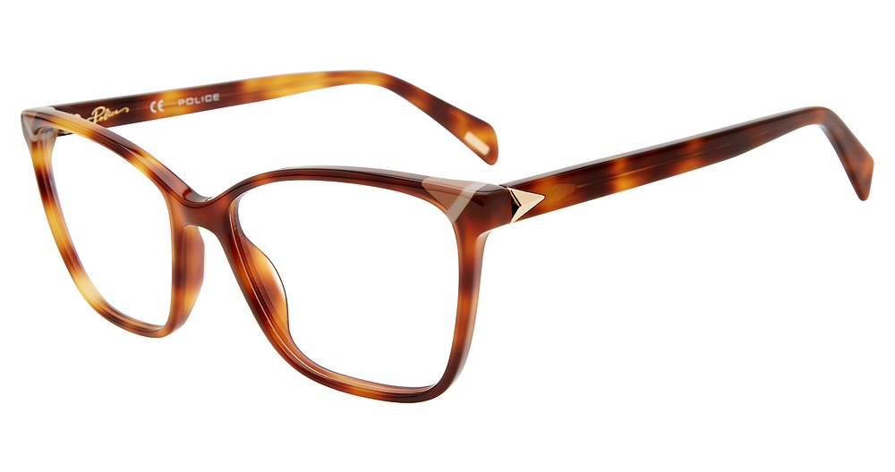 Brown Tortoise 0752