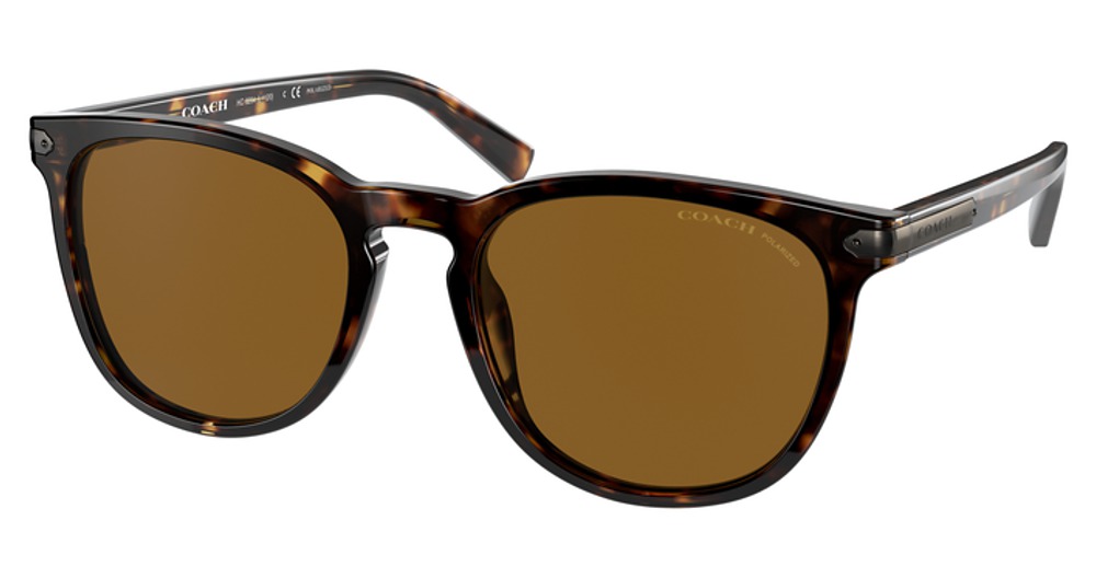 DARK TORTOISE / BROWN POLAR