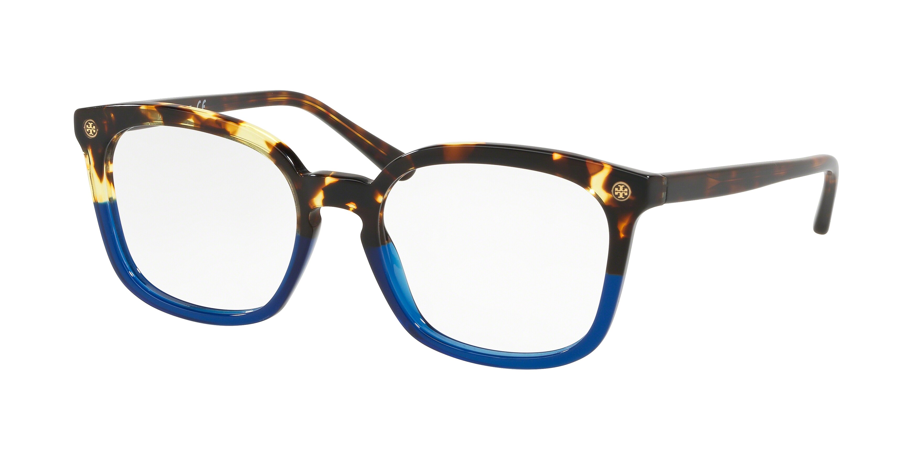 VINTAGE TORTOISE / BLUE