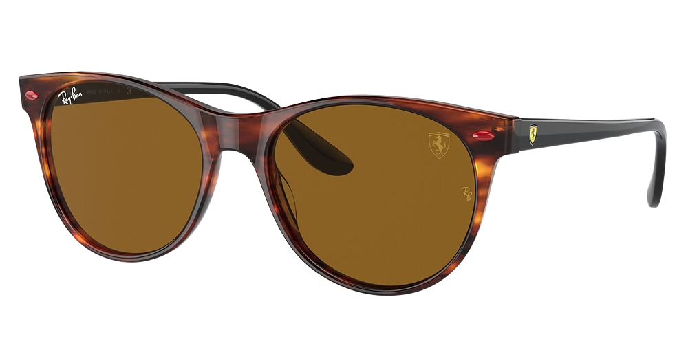 Ray-Ban RB2202M round sunglasses in Havana/Brown