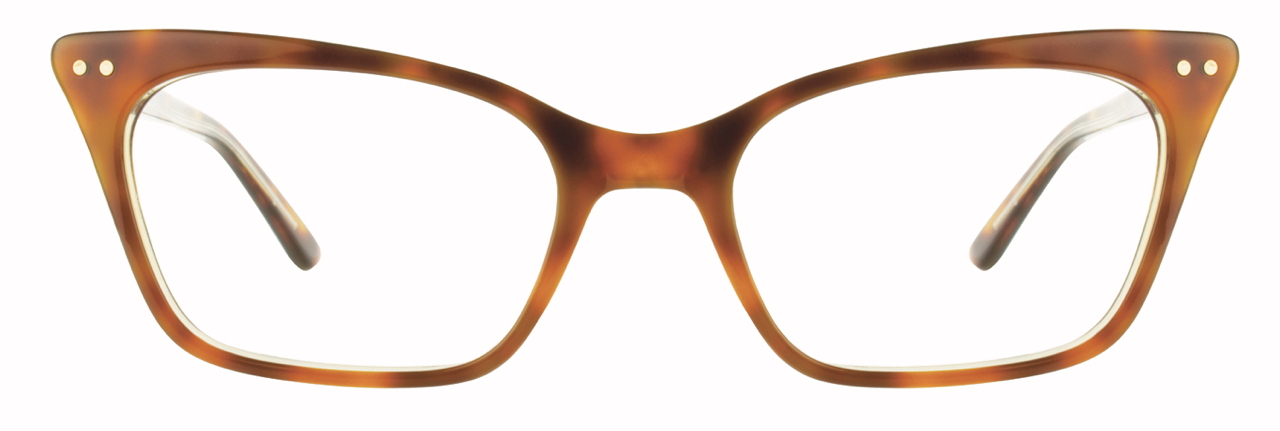 Copper / Tortoise