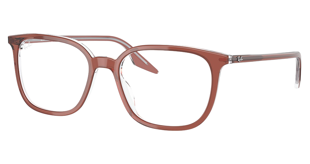 Ray-Ban RX5406F round eyeglasses in Brown on Transparent