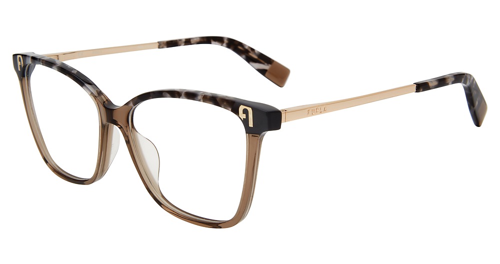 Grey Tortoise 0793
