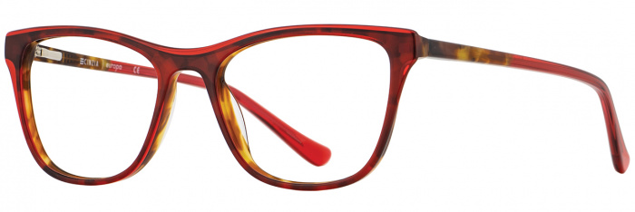 Red Tortoise