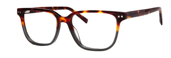 Tortoise/Grey 2 Tone