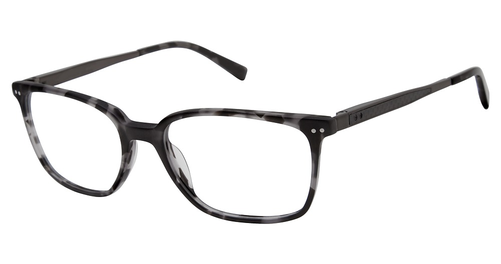 grey tortoise