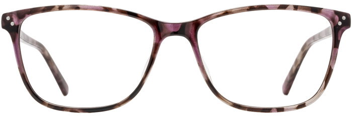 Purple Tortoise