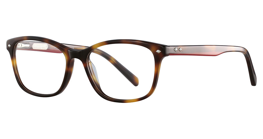 Amber Tortoise