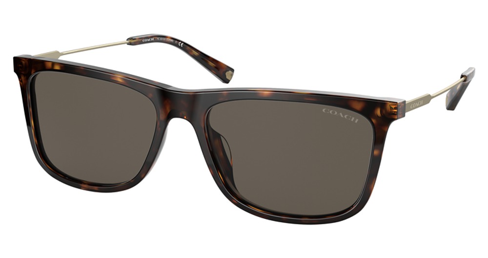DARK TORTOISE / BROWN SOLID