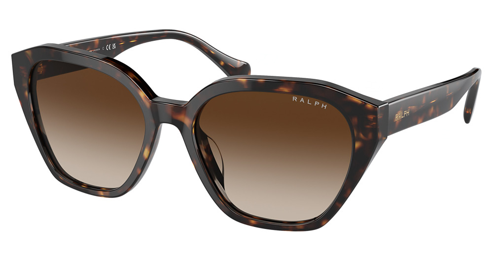 SHINY DARK HAVANA / GRADIENT BROWN
