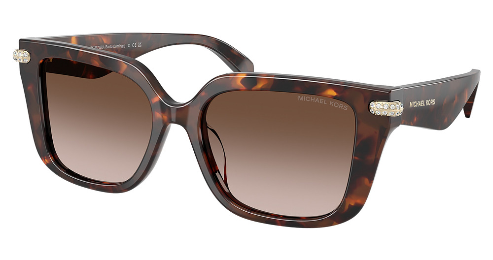 LUGGAGE TORTOISE / SMOKE GRADIENT BIO