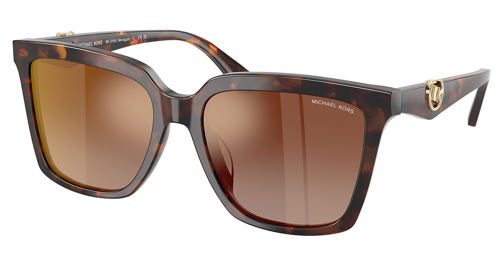 LUGGAGE TORTOISE / BROWN GRADIENT MIRROR RED