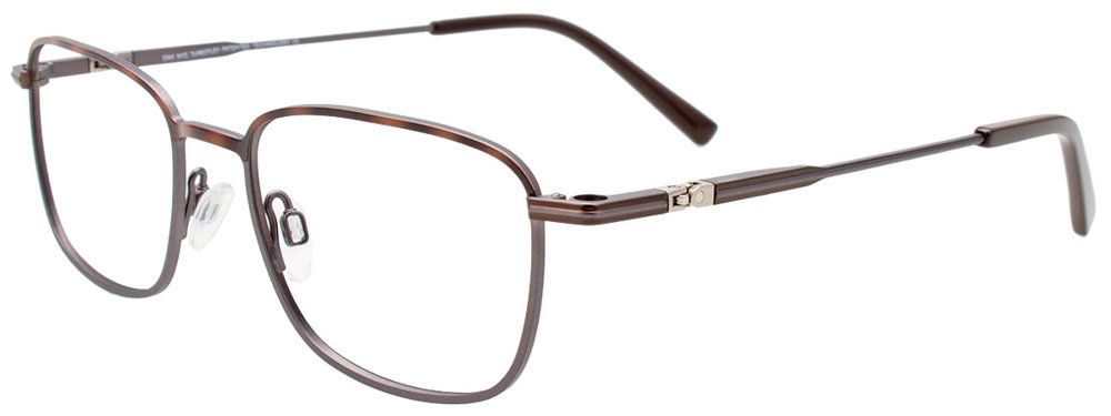 Tortoise / Steel