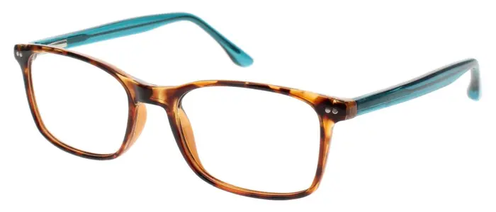 TORTOISE/TEAL
