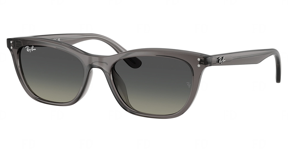 TRANSPARENT DARK GREY / GRADIENT GREY
