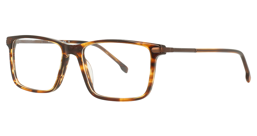 Tortoise/Brown
