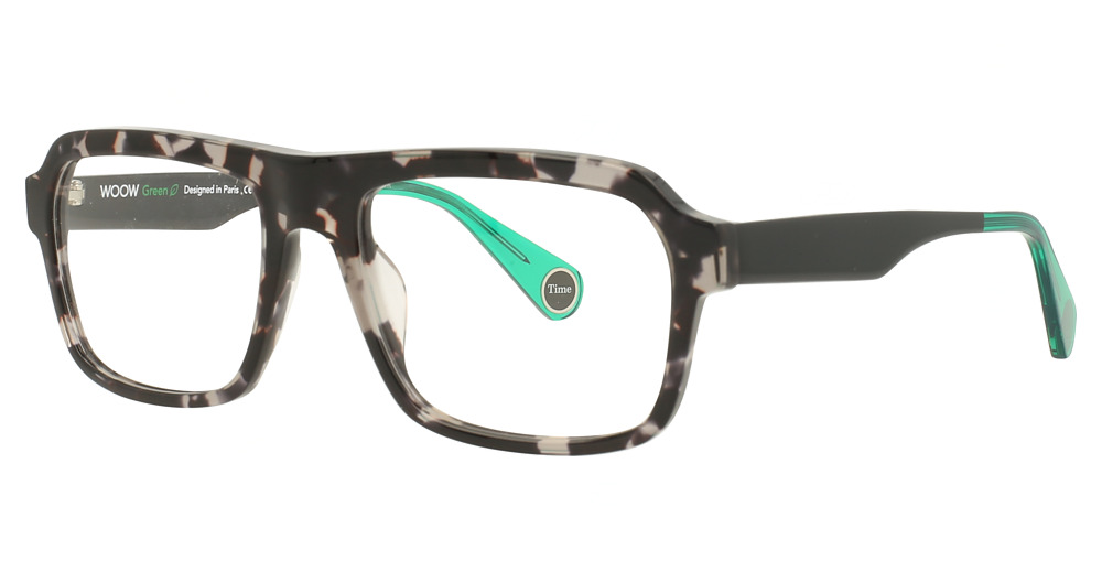 BLACK TORTOISE