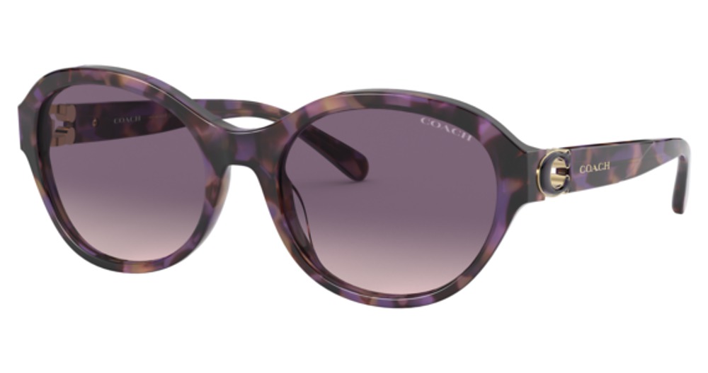 PURPLE TORTOISE / PURPLE PINK GRADIENT