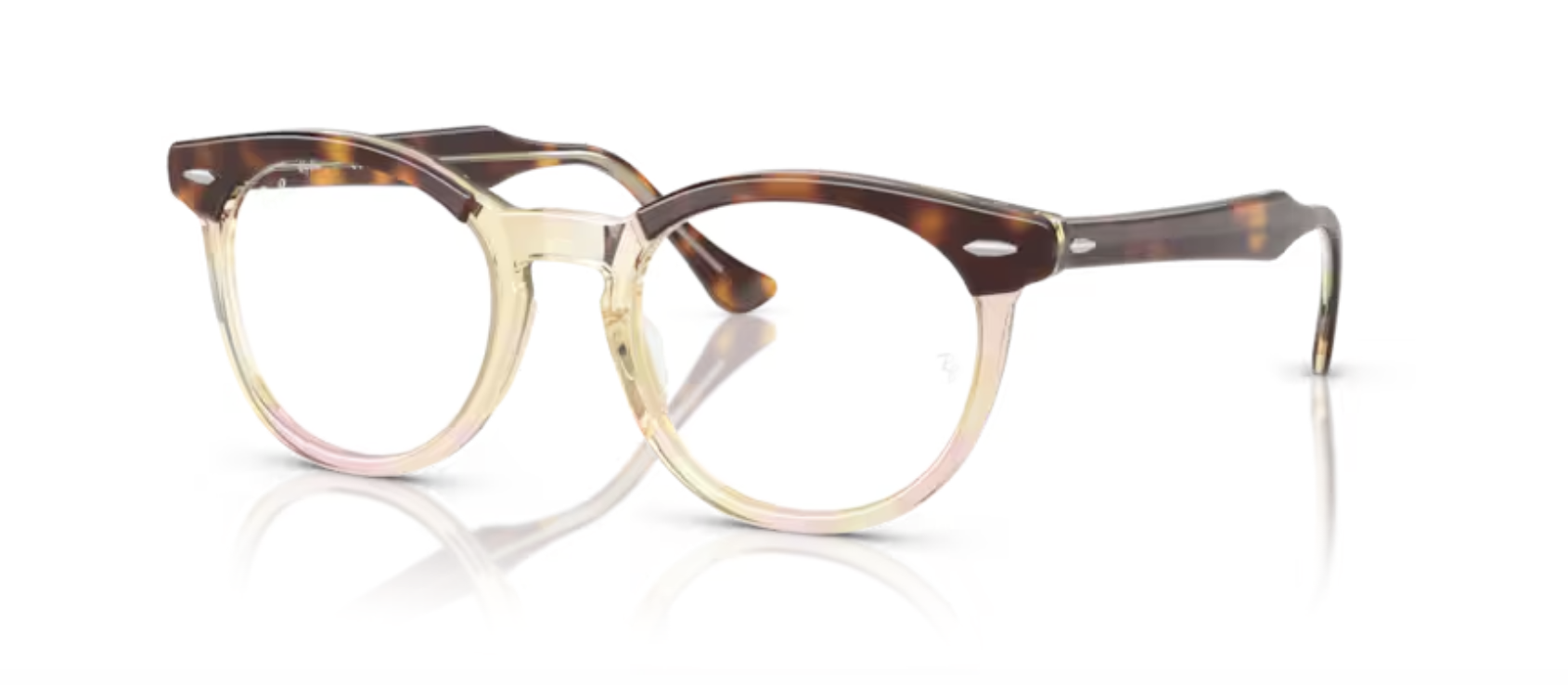 Ray-Ban RX5598F #N/D round eyeglasses in Light Havana on Multicol