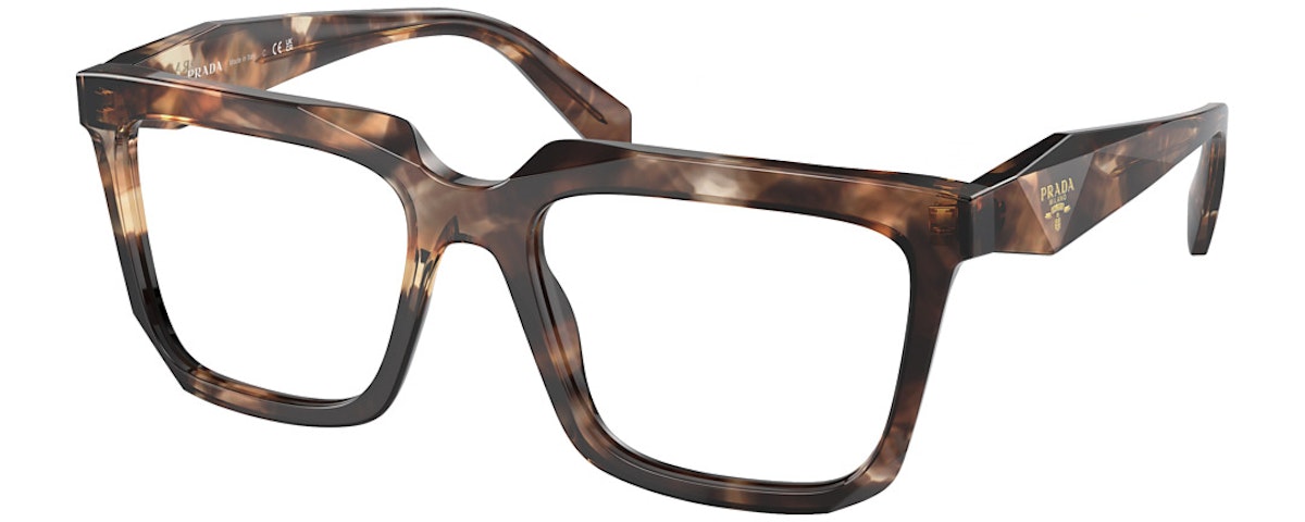 CARAMEL TORTOISE