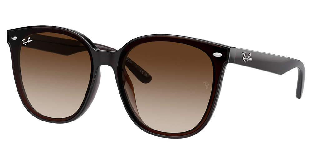 TRANSPARENT BROWN / GRADIENT BROWN