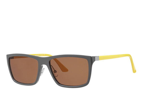 Grey with Brown Lenses