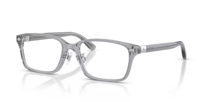 SHINY TRANSPARENT GREY