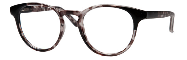 Black Tortoise