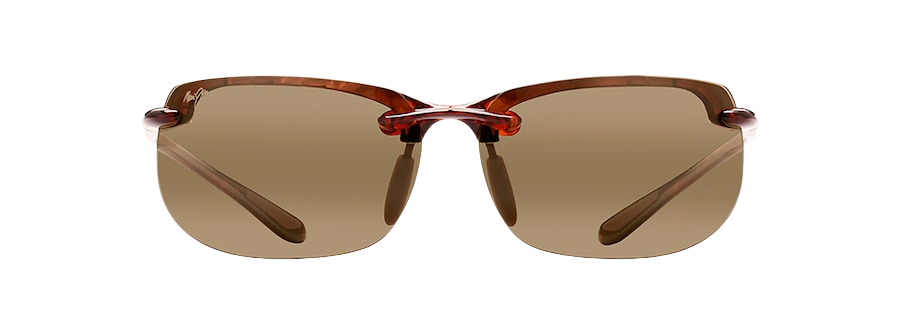 Tortoise