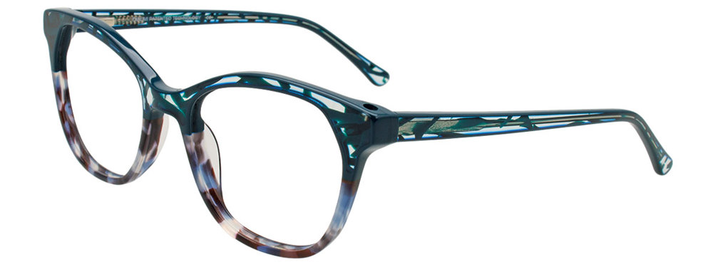 Teal & Blue Tortoise