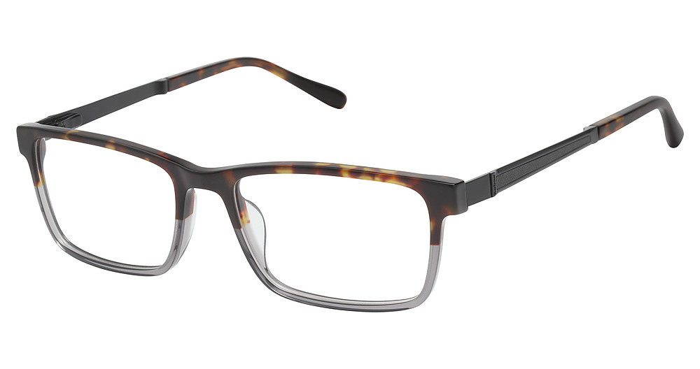 tortoise grey crystal